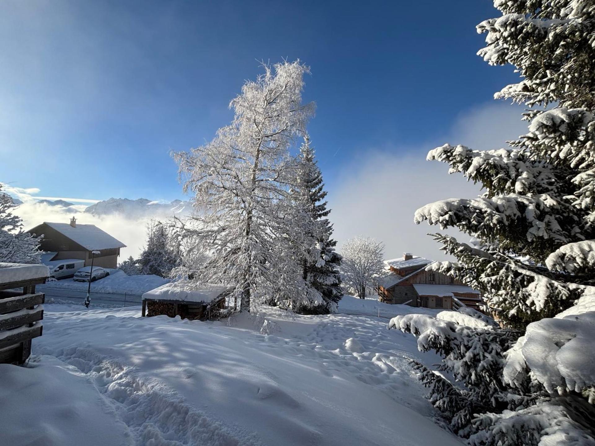 Chalet Rouge Ou Blanc Villard-Reculas Eksteriør billede